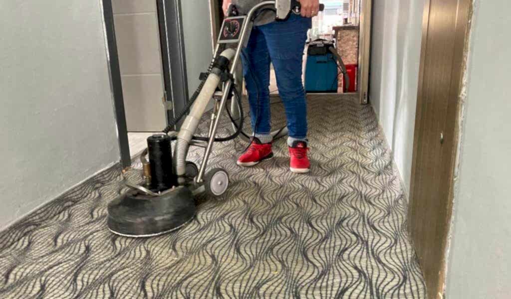 yerinde halı temizleme